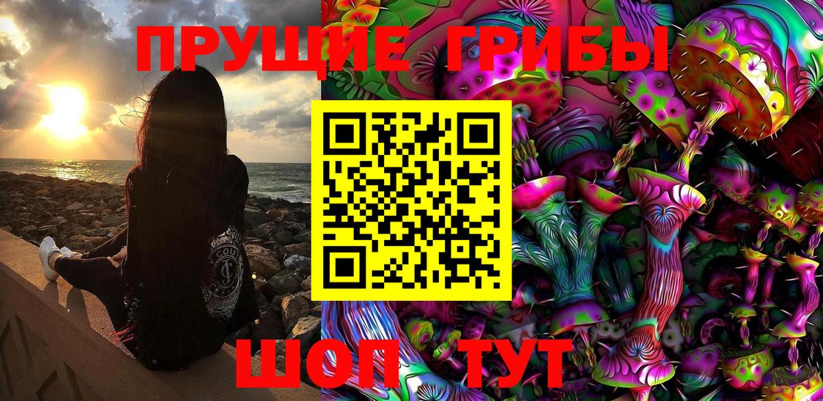 Димитровград  Псилоцибиновые грибы Magic Shrooms  Вход с VPN  Псилоцибиновые грибы мицелий 