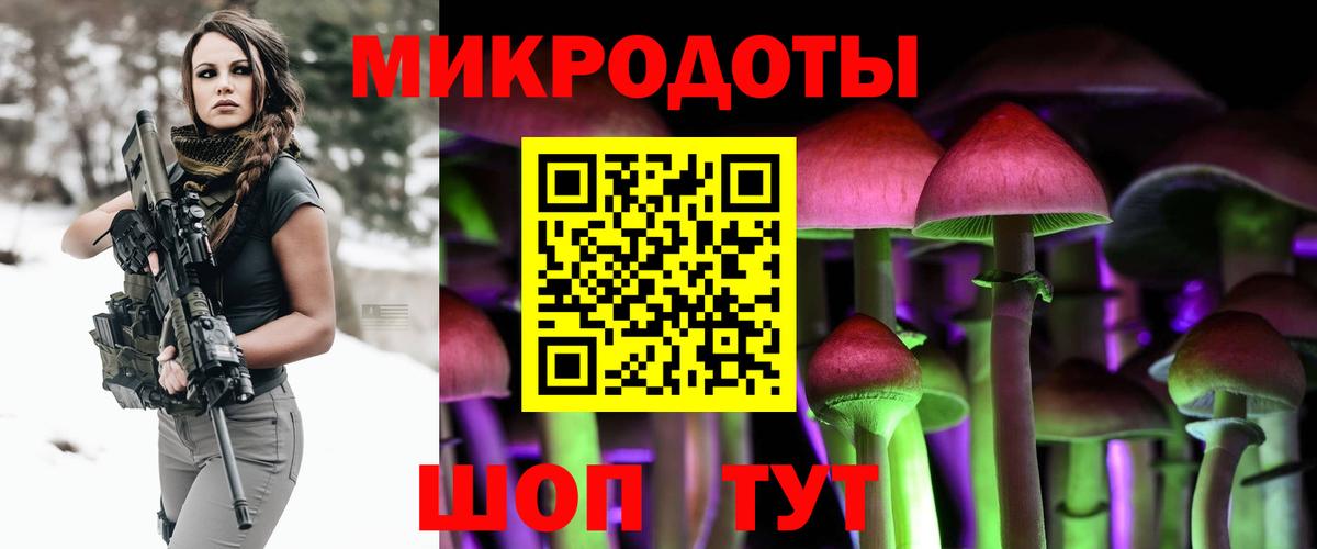 Галлюциногенные грибы прущие грибы Димитровград